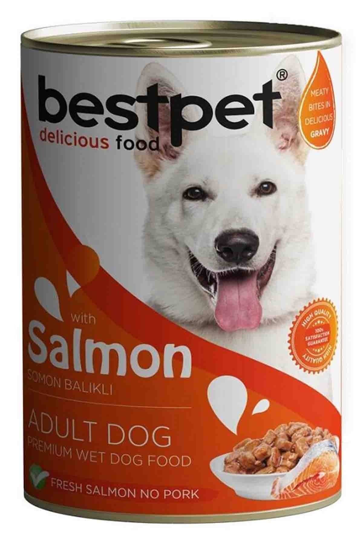 Bestpet Wet Food Chunks with Salmon in Gravy for Adult Dogs 400gm