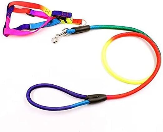 Dog Harness and Leash in Rainbow Size small
