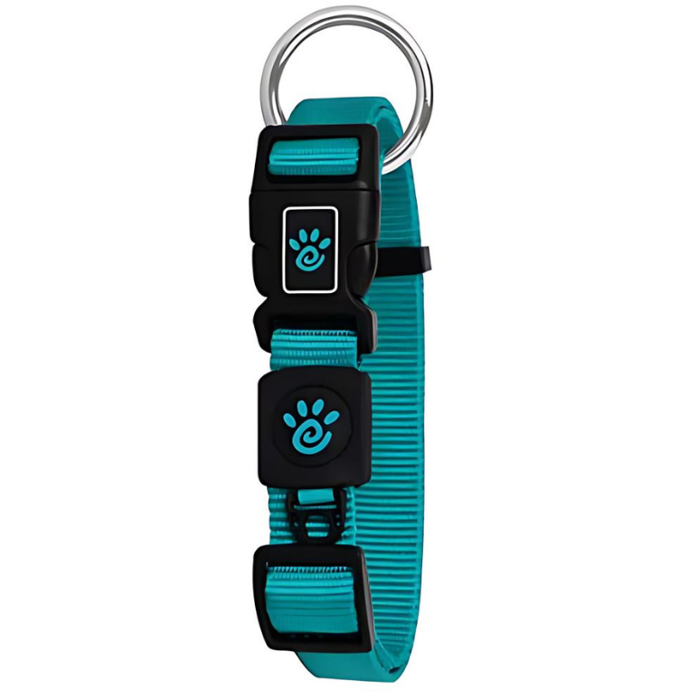 Doco XS turquoise Nylon Dog Collar (21-30x1cm)