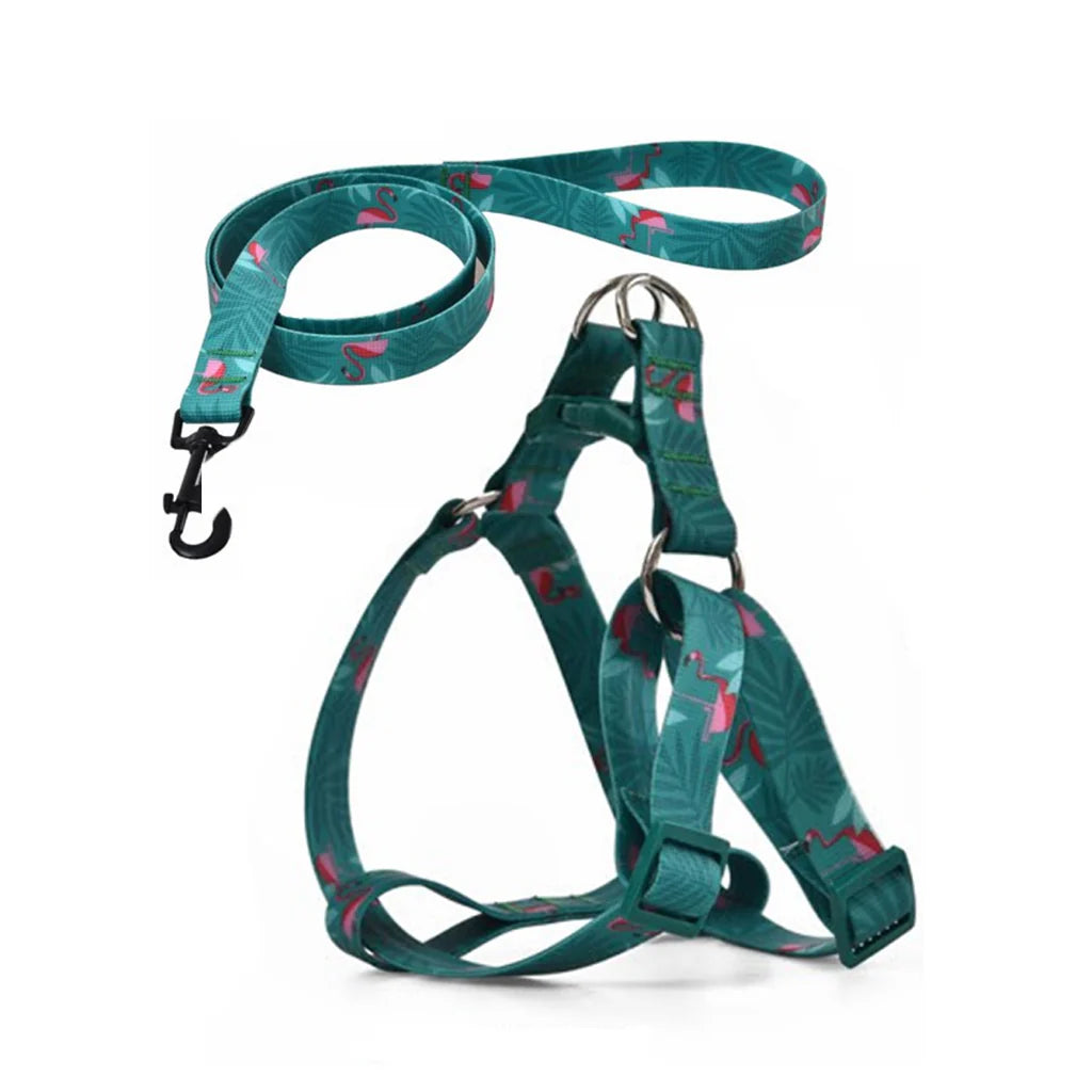 Naomi Medium Green Dog Harness with Teal Printed Leash