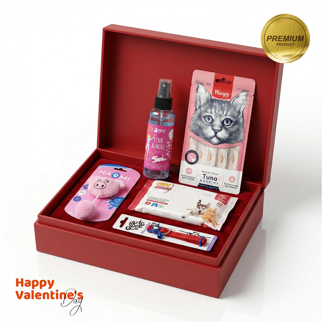 Valentine's premium Box for cat
