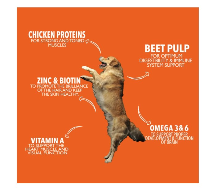 Legends Dry Food with Chicken for Adult Dogs 10KG