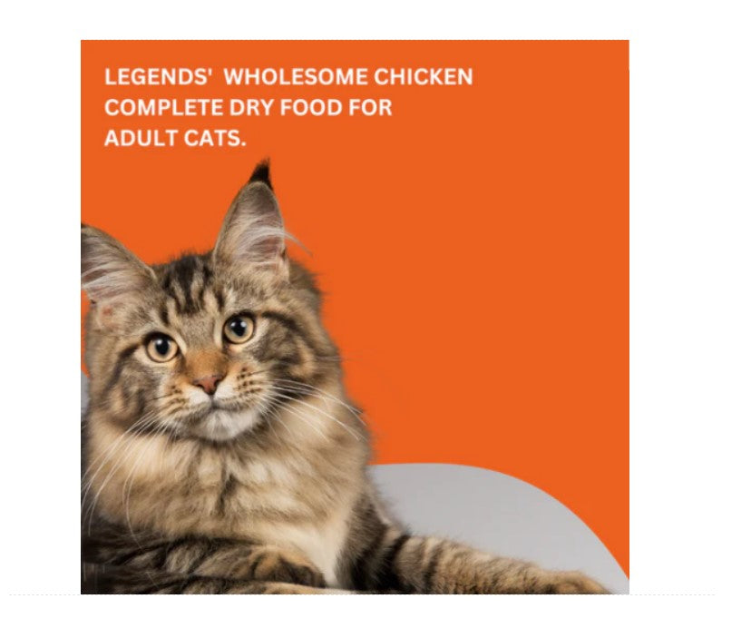 Legends Dry Food with Chicken for Adult Cats 10KG