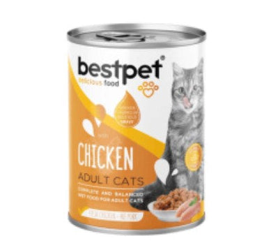 Bestpet Wet Food Chunks with chicken in Gravy for Adult Cats 400gm