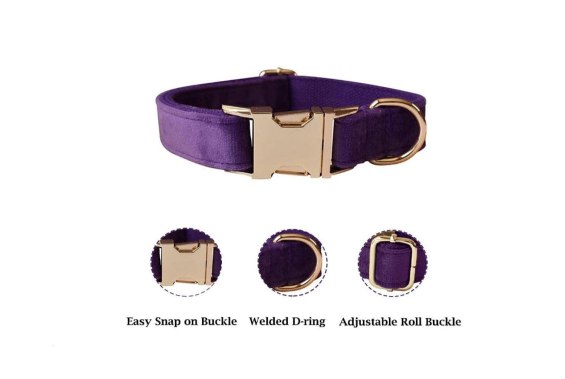 Dogness Large Purple Reflective Teflon Collar (44-69x2.5cm) for Dogs (Up to 42kg)