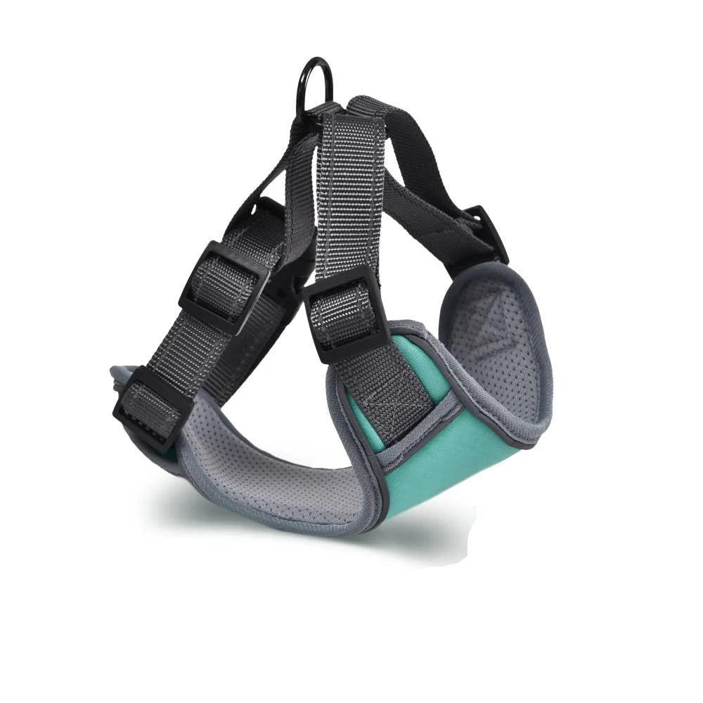 naomi small turquoise & gray dog harness