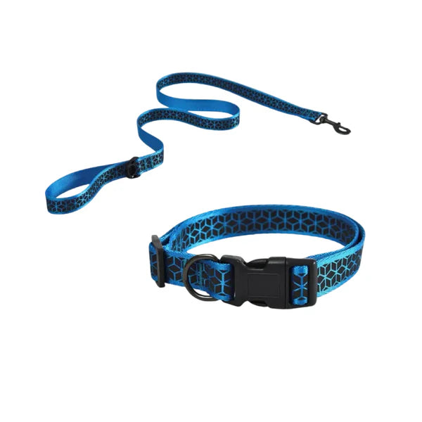 naomi leash and collar gray & blue