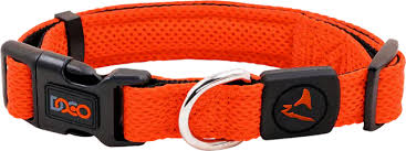 DOCO dog collar small athletica mesh orange (28-40x2.0cm)