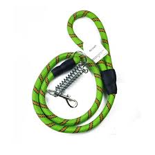 dog leash with shock absorbing spring