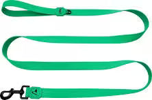 DOCO dog Leash medium Jelly Bean green (180x2cm)