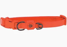 Doco dog collar small jelly bean orange (27-37x1.5cm)