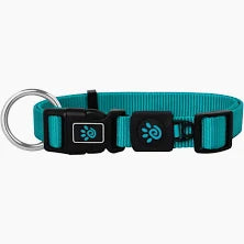 DOCO dog collar medium Nylon o-ring Turquoise (35-51x2cm)