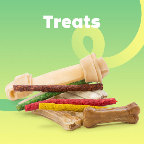 treat dog