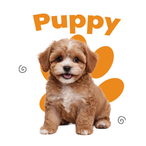 PUPPY
