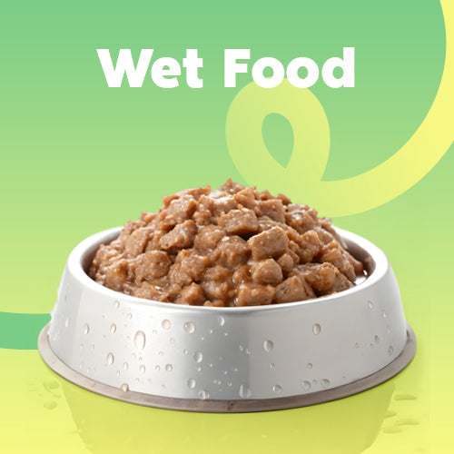 Wet food dog