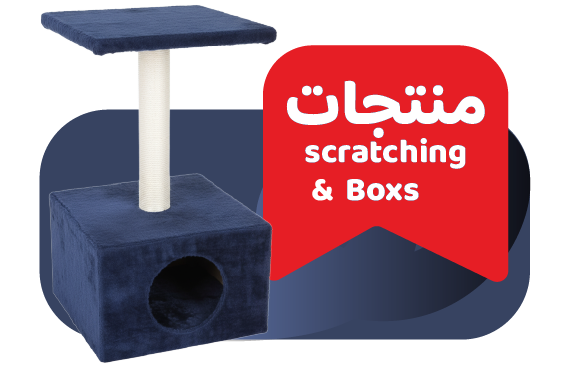 Scratching & boxs