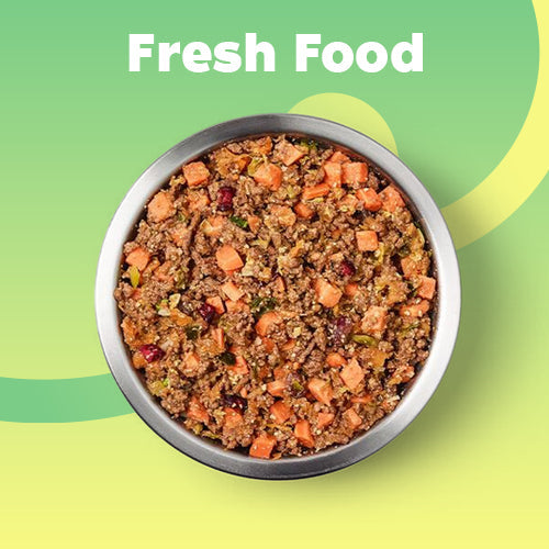 fresh food dog