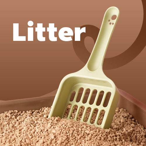Cat Litter