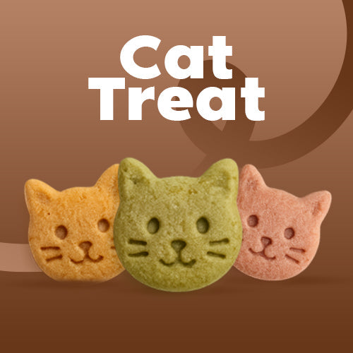 treat cat