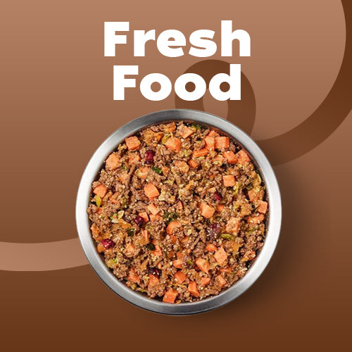Fresh food cat