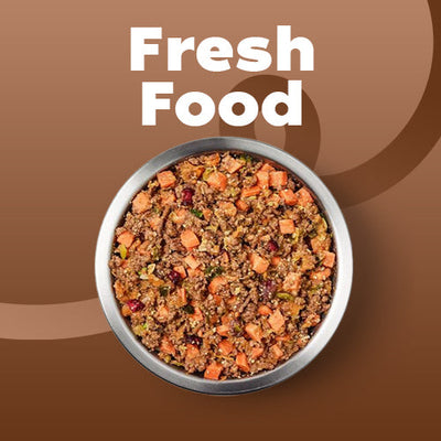Fresh food cat