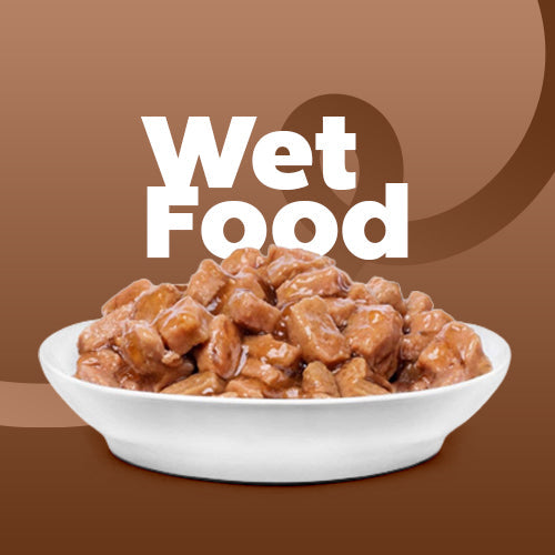 Wet food cat