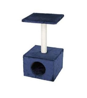 cat scratching&house