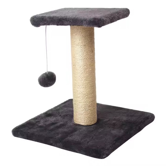 cat scratching with hanging ball