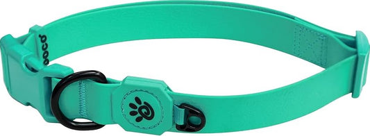 Doco Jelly Bean Small turquoise Dog Collar (27-37x1.5cm)