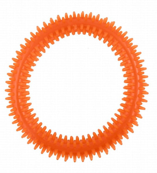 Orgo Circle Shaped Dog Fetch Toy