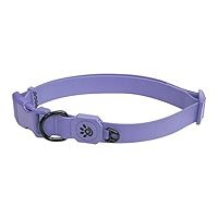 Doco dog collar large jelly bean purple (45-68x2.5cm)