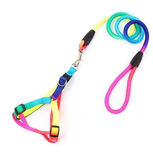 Dog Harness and Leash in Rainbow Size Meduim