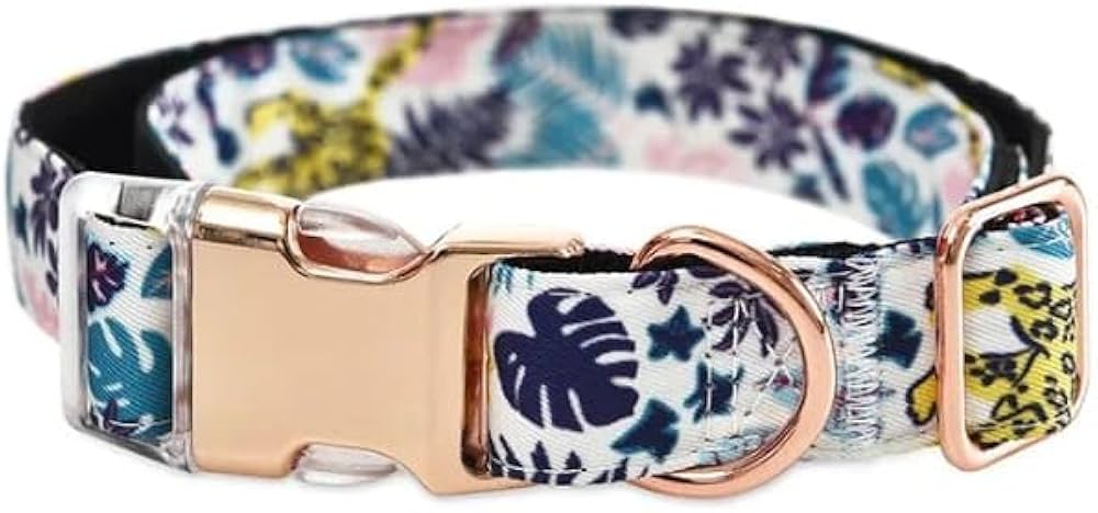 Naomi dog collar