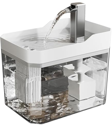Water fountain