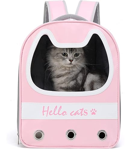 back bag hello kitty for cats & mini dogs gray