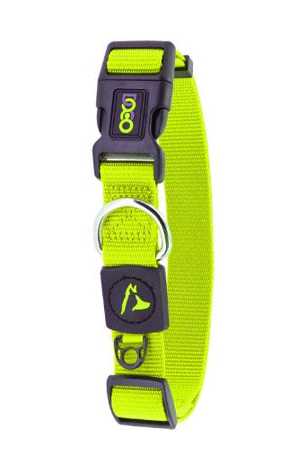 Doco Small Green Nylon Dog Collar (28-43x1.5cm)
