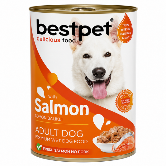 Bestpet Wet Food Chunks with Salmon in Gravy for Adult Dogs 400gm