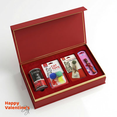 Valentine's Box for cat