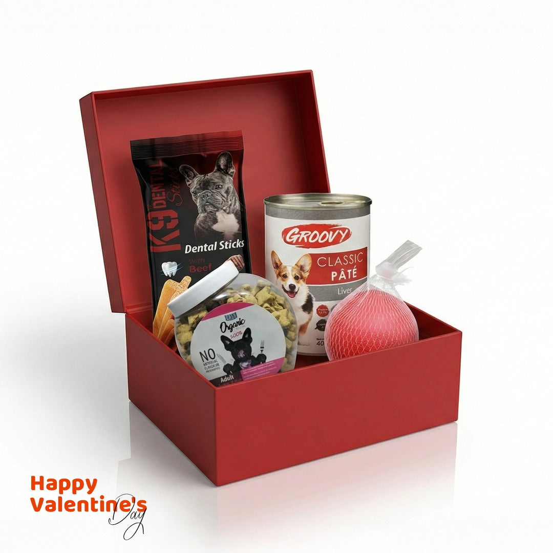 Valentine's Box for dog
