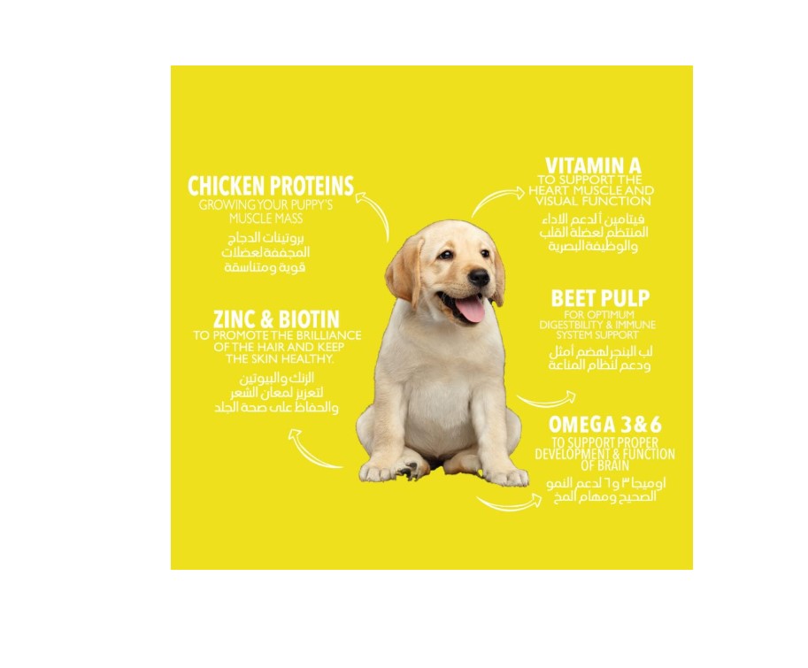 Legends Dry Food with Chicken for Puppies & Junior Dogs 2 kg