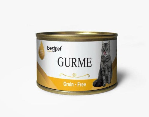 Bestpet Gurme Wet Food Chunks with Chicken in Jelly for Adult Cats 100gr