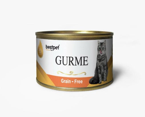 Bestpet Gurme Wet Food Chunks with Salmon in Jelly for Adult Cats 100gr