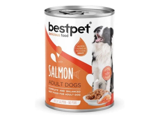 Bestpet Wet Food Chunks with Salmon in Gravy for Adult Dogs 400gm
