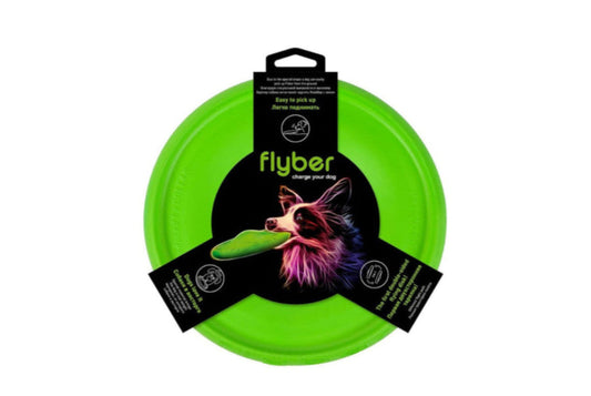 Flyber Green 22cm 2in1 Flying Disk Dog Fetch Toy 1 pcs