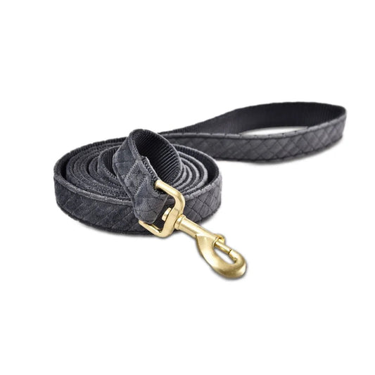 Nomi leash gray for dogs