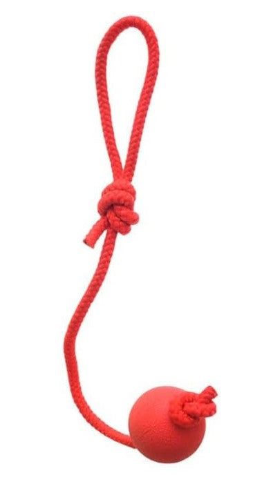 bomi red rope & ball dog tug toy