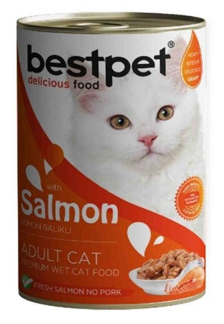Bestpet Wet Food with Salmon in Gravy for Adult Cats 400gm