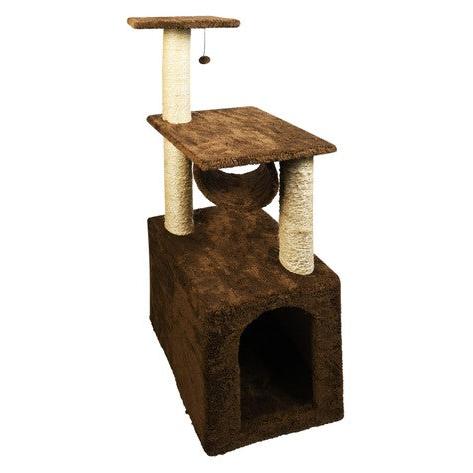 cat scratching&house