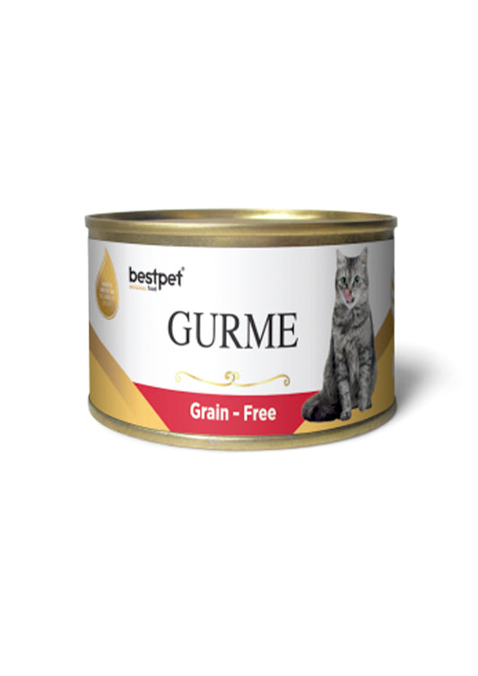 Bestpet Gurme Wet Food Chunks with Beef in Jelly for Adult Cats 100gr