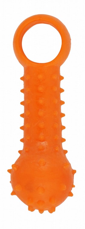 Orgo Orange Dog Chew Toy